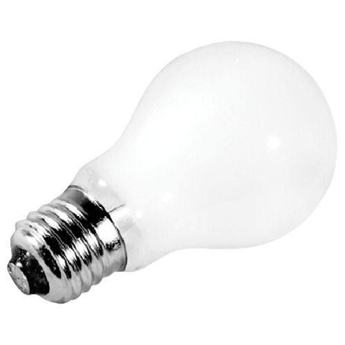 LIGHT BULB 12v 24W #25A19